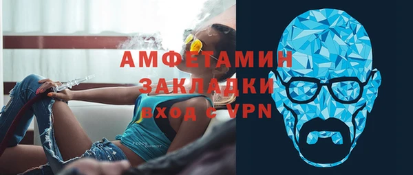ГАЛЛЮЦИНОГЕННЫЕ ГРИБЫ Инсар