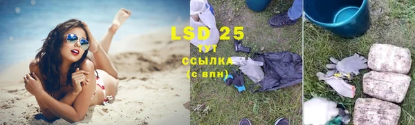 стаф Баксан